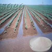 High Water Absorption Capacity Gel SAP for Farm Plantation